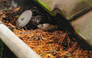 gutter-cleaning-basingstoke